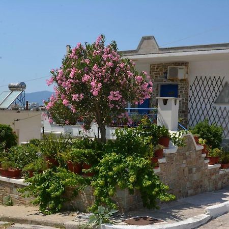 Traditional Summer House In Marmari Marmari  Buitenkant foto